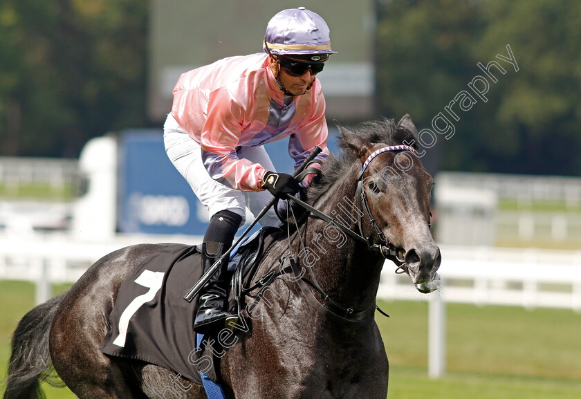 Havana-Smoke-0001 
 HAVANA SMOKE (Greg Cheyne)
Ascot 8 Sep 2023 - Pic Steven Cargill / Racingfotos.com