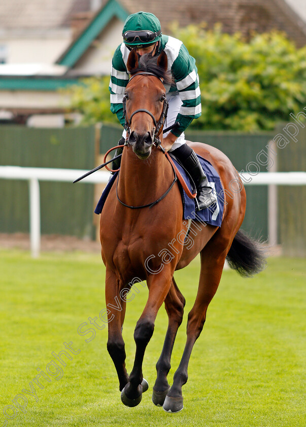 Alicestar-0001 
 ALICESTAR (Tom Marquand) before winning The Southwold Novice Auction Stakes
Yarmouth 22 Jul 2020 - Pic Steven Cargill / Racingfotos.com