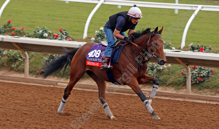 Nezwaah-0001 
 NEZWAAH exercising at Del Mar USA in preparation for The Breeders' Cup Filly & Mare Turf 30 Oct 2017 - Pic Steven Cargill / Racingfotos.com