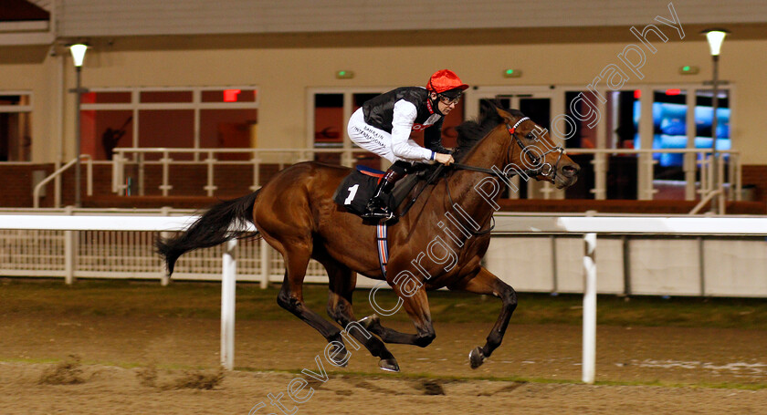 Golden-Rules-0003 
 GOLDEN RULES (Robert Havlin) wins The chelmsfordcityracecourse.com Novice Stakes
Chelmsford 22 Oct 2020 - Pic Steven Cargill / Racingfotos.com