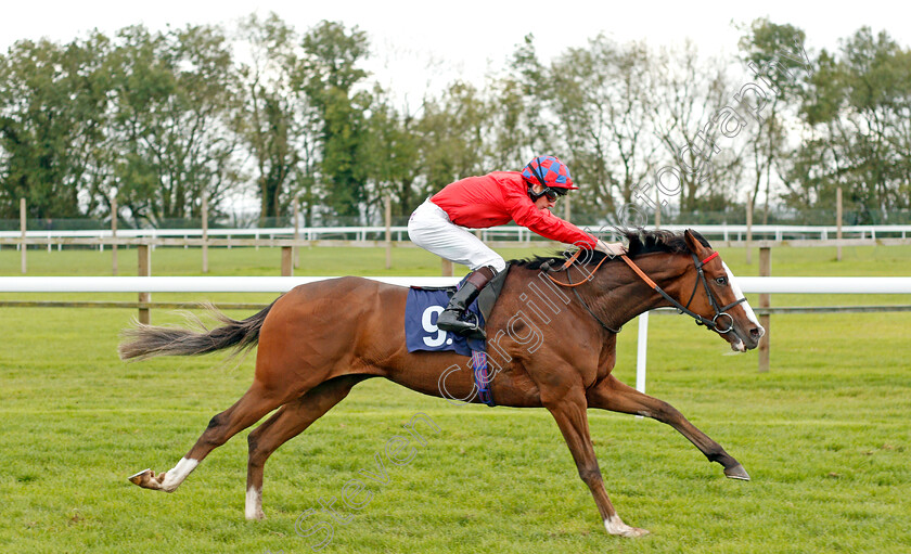 Cochise-0003 
 COCHISE (Thomas Greatrex) wins The Bath Luxury Toilet Hire Handicap
Bath 16 Oct 2019 - Pic Steven Cargill / Racingfotos.com