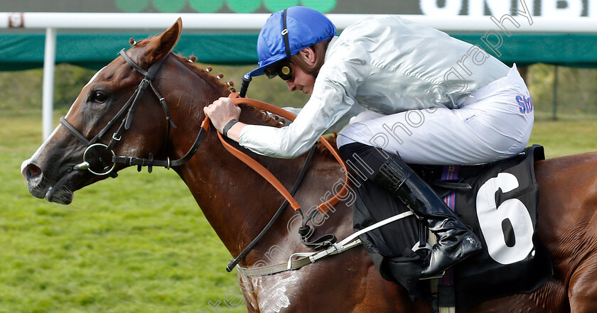 Homespin-0003 
 HOMESPIN (James Doyle) wins The Unibet Nursery
Goodwood 2 Aug 2019 - Pic Steven Cargill / Racingfotos.com