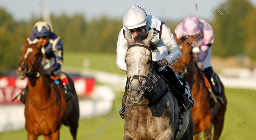 Misty-Dancer-0008 
 MISTY DANCER (Harry Burns) wins The William Hill Pick Your Places Maiden Fillies Stakes
Goodwood 26 Aug 2022 - Pic Steven Cargill / Racingfotos.com