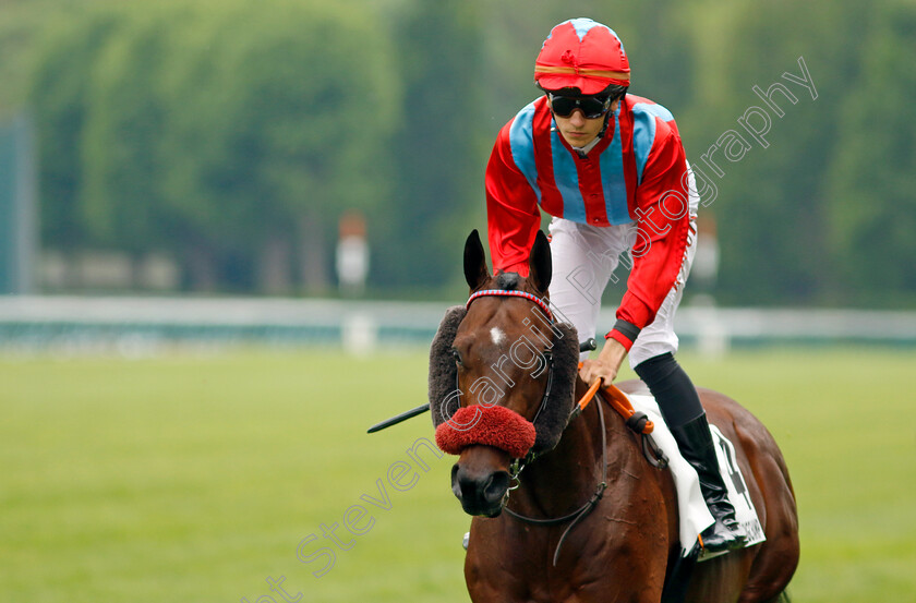 Goluptious-0001 
 GOLUPTIOUS (H Boutin)
Longchamp 12 May 2024 - Pic Steven Cargill / Racingfotos.com