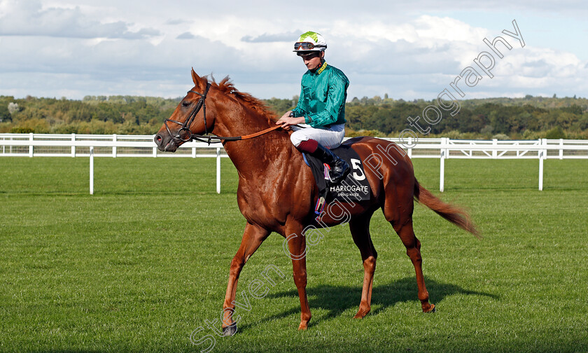 Scope-0001 
 SCOPE (Rob Hornby) winner of The Harrogate Water Noel Murless Stakes
Ascot 1 Oct 2021 - Pic Steven Cargill / Racingfotos.com