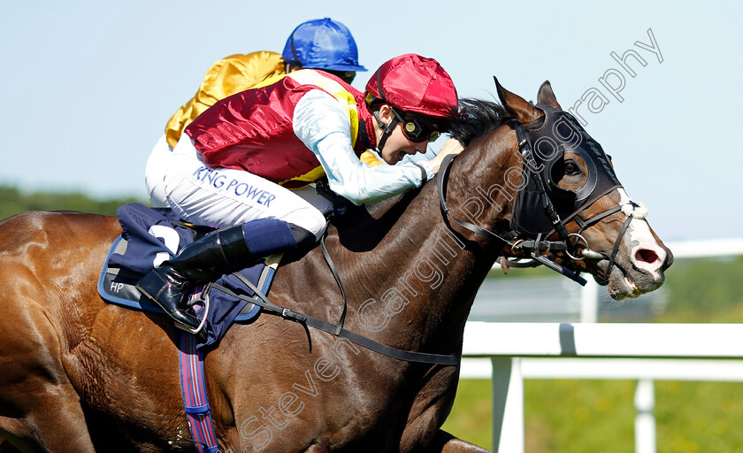 Commonsensical-0007 
 COMMONSENSICAL (Harry Davies) wins The Plan A Consulting Handicap
Chepstow 27 May 2022 - Pic Steven Cargill / Racingfotos.com