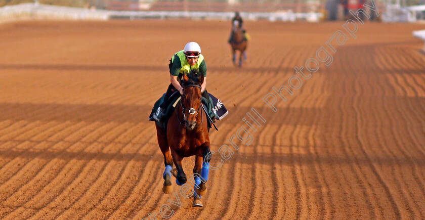 Mishriff-0003 
 MISHRIFF training for the Saudi Cup
King Abdulaziz Racetrack, Riyadh, Saudi Arabia 24 Feb 2022 - Pic Steven Cargill / Racingfotos.com