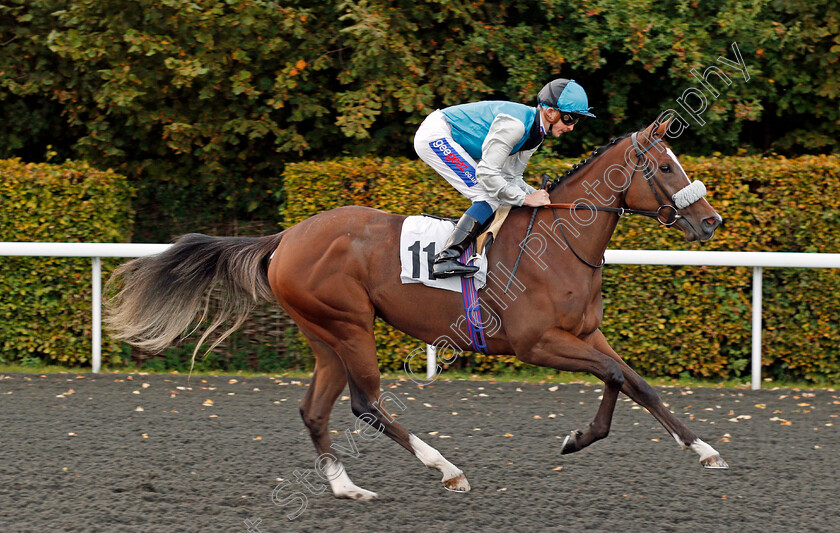 Silver-Swift-0001 
 SILVER SWIFT (David Probert) Kempton 4 Oct 2017 - Pic Steven Cargill / Racingfotos.com