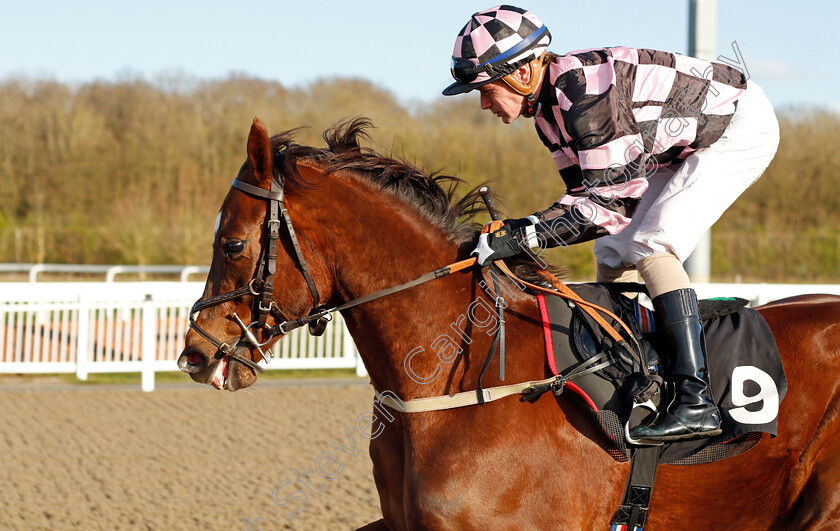 Beloved-Of-All 
 BELOVED OF ALL (Kieran O'Neill)
Chelmsford 31 Mar 2022 - Pic Steven Cargill / Racingfotos.com