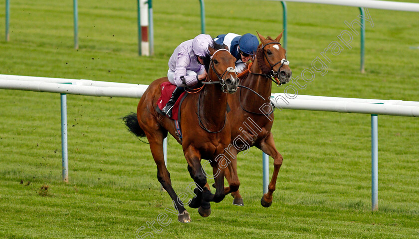 Il-Bandito-0001 
 IL BANDITO (William Buick) beats STREET KID (right) in The Betway Casino Handicap
Haydock 29 May 2021 - Pic Steven Cargill / Racingfotos.com