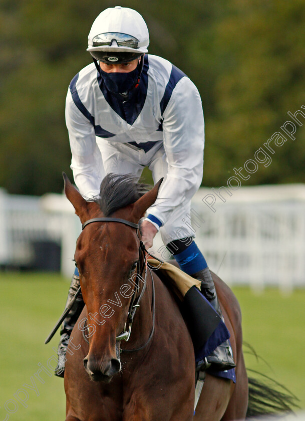 Uproar-0001 
 UPROAR (Daniel Muscutt)
Lingfield 26 Aug 2020 - Pic Steven Cargill / Racingfotos.com