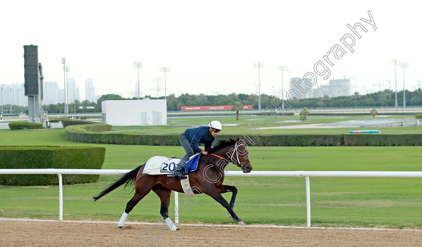 Hans-Andersen-0002 
 HANS ANDERSEN training at the Dubai Racing Carnival 
Meydan 2 Jan 2025 - Pic Steven Cargill / Racingfotos.com