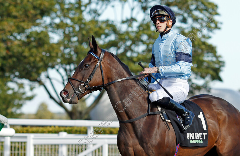 Cachet-0002 
 CACHET (James Doyle)
Newmarket 24 Sep 2021 - Pic Steven Cargill / Racingfotos.com