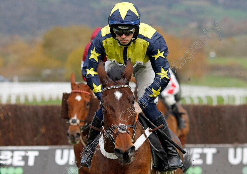 Surrey-Quest-0002 
 SURREY QUEST (Kevin Brogan)
Cheltenham 17 Nov 2024 - Pic Steven Cargill / Racingfotos.com