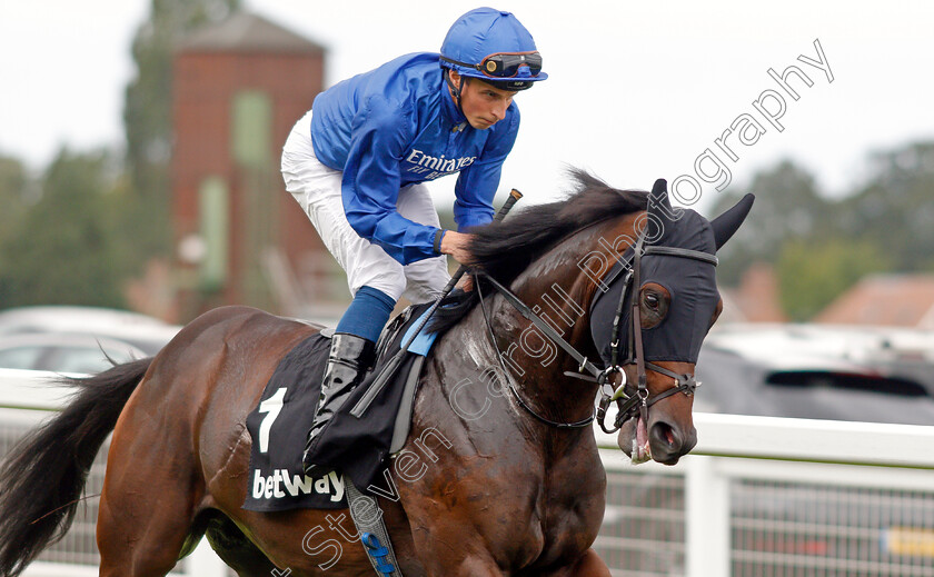 Al-Suhail-0001 
 AL SUHAIL (William Buick)
Sandown 31 Aug 2019 - Pic Steven Cargill / Racingfotos.com