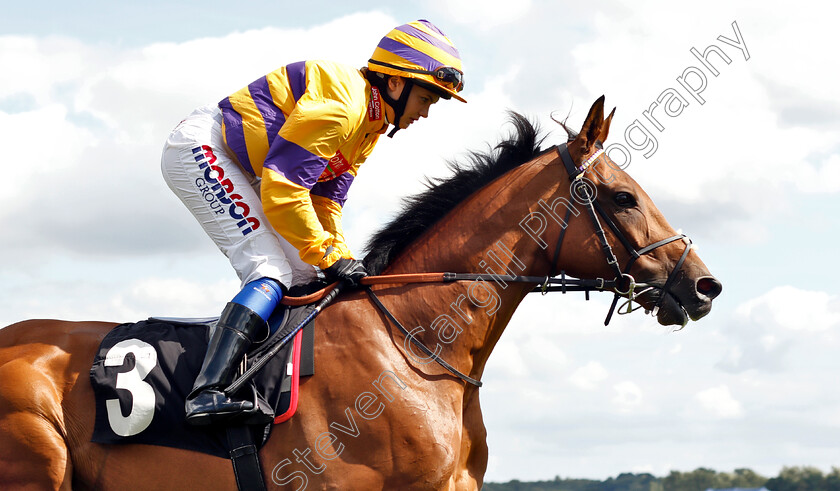 Cliffs-Of-Dover-0002 
 CLIFFS OF DOVER (Megan Nicholls)
Newbury 17 Aug 2018 - Pic Steven Cargill / Racingfotos.com