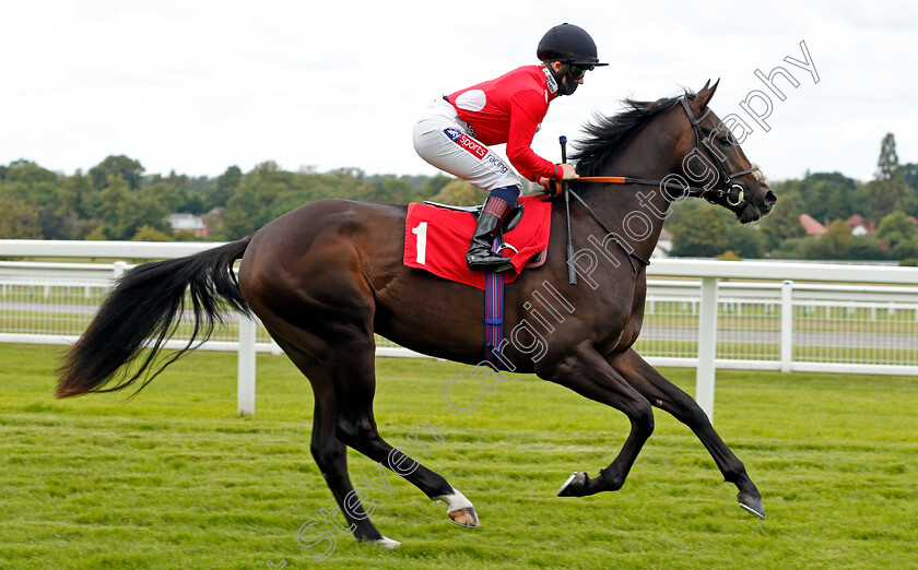 Ace-Rothstein-0002 
 ACE ROTHSTEIN (Hollie Doyle)
Sandown 23 Aug 2020 - Pic Steven Cargill / Racingfotos.com