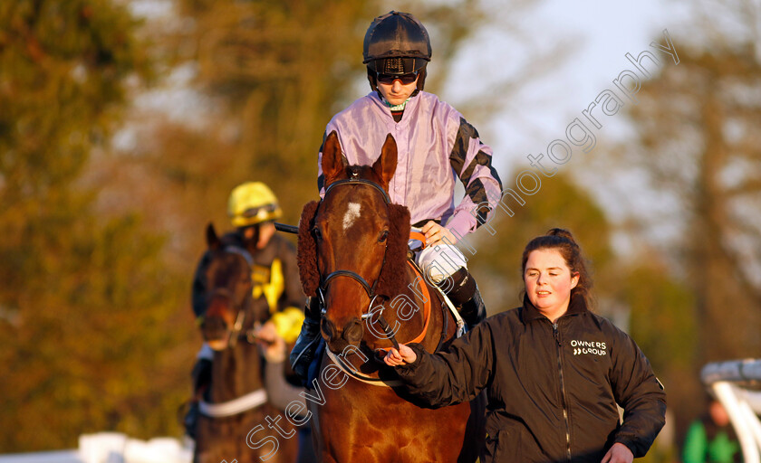 Asdaa-0002 
 ASDAA (Jason Hart)
Lingfield 21 Jan 2023 - Pic Steven Cargill / Racingfotos.com