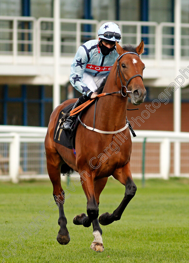 Without-Revenge-0002 
 WITHOUT REVENGE (Thomas Greatrex)
Nottingham 28 Oct 2020 - Pic Steven Cargill / Racingfotos.com