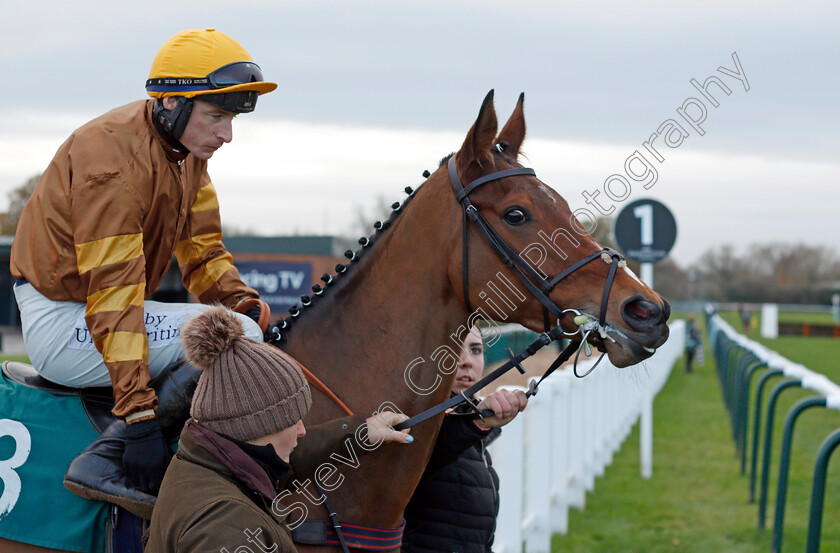 Little-River-Bay 
 LITTLE RIVER BAY (Tom O'Brien)
Warwick 9 Dec 2021 - Pic Steven Cargill / Racingfotos.com