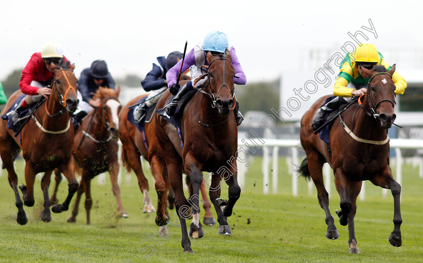 Dancing-Star-0006 
 DANCING STAR (centre, Oisin Murphy) beats EIRENE (right) in The Japan Racing Association Sceptre Stakes
Doncaster 14 Sep 2018 - Pic Steven Cargill / Racingfotos.com