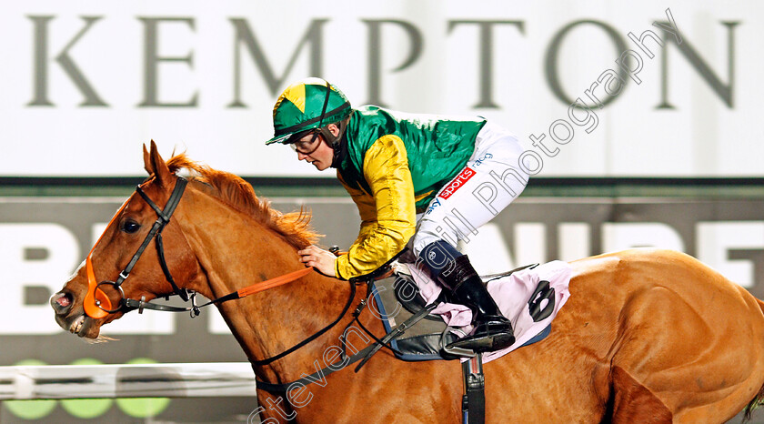 Madrinho-0006 
 MADRINHO (Hollie Doyle) wins The Try Our New Super Boosts At Unibet Handicap, Hollies 5th winner of the evening
Kempton 3 Mar 2021 - Pic Steven Cargill / Racingfotos.com