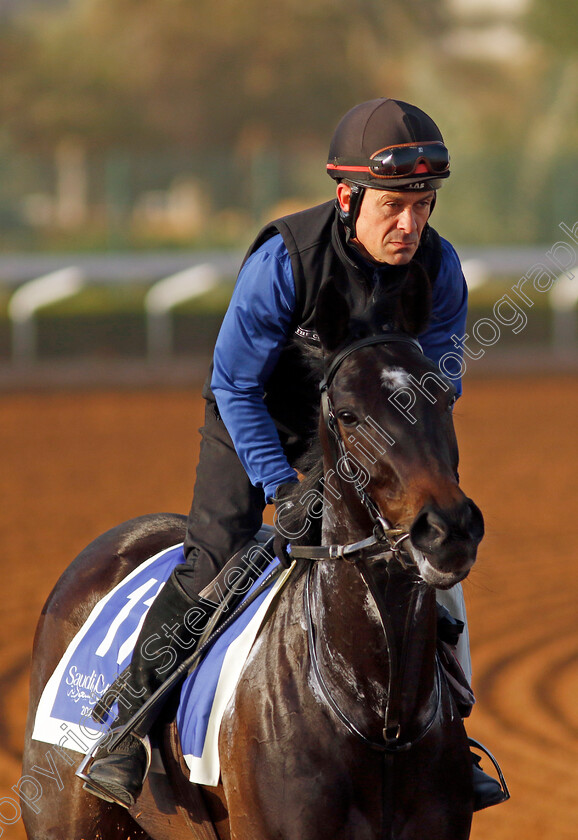 Matilda-Picotte-0001 
 MATILDA PICOTTE training for The 1351 Turf Sprint
King Abdulaziz Racecourse, Saudi Arabia 20 Feb 2024 - Pic Steven Cargill / Racingfotos.com