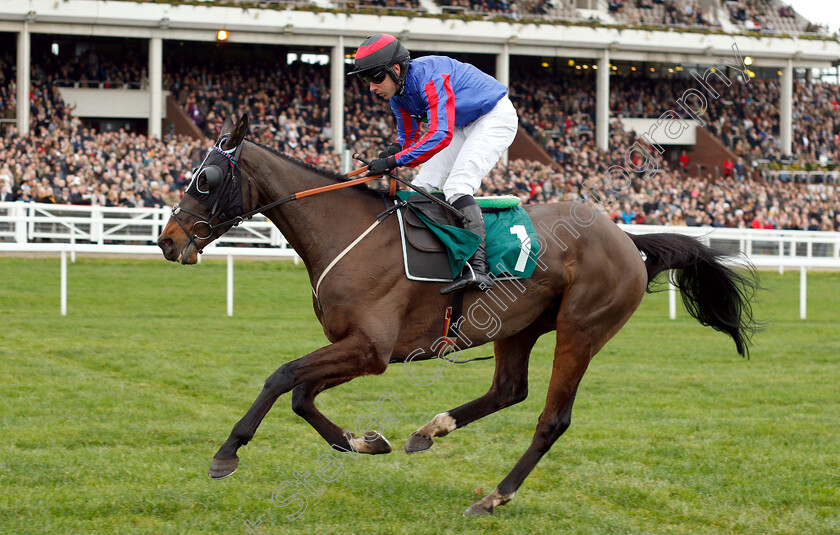 Beware-The-Bear-0008 
 BEWARE THE BEAR (Jeremiah McGrath) wins The Join The BetBright Racing Club Handicap Chase
Cheltenham 1 Jan 2019 - Pic Steven Cargill / Racingfotos.com