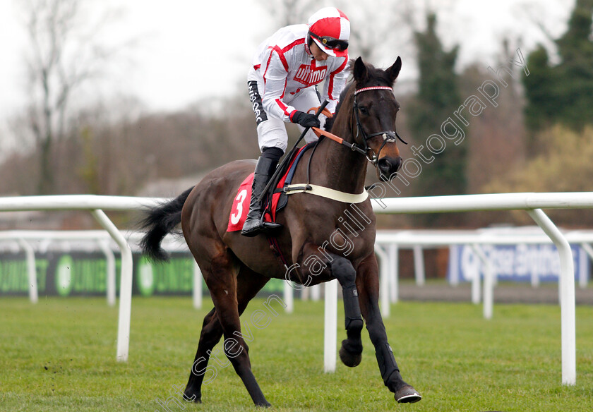 Running-Cloud-0001 
 RUNNING CLOUD (Tom Cannon)
Kempton 12 Jan 2019 - Pic Steven Cargill / Racingfotos.com