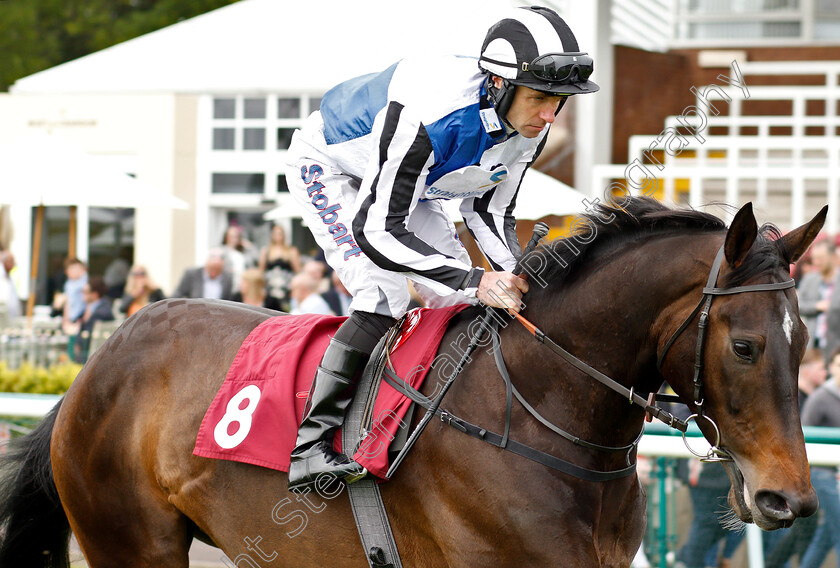 Desert-Point-0001 
 DESERT POINT (Tom Eaves) 
Haydock 25 May 2019 - Pic Steven Cargill / Racingfotos.com