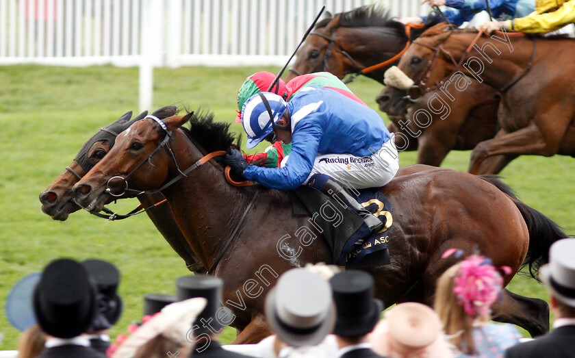 Afaak-0006 
 AFAAK (Jim Crowley) wins The Royal Hunt Cup
Royal Ascot 19 Jun 2019 - Pic Steven Cargill / Racingfotos.com