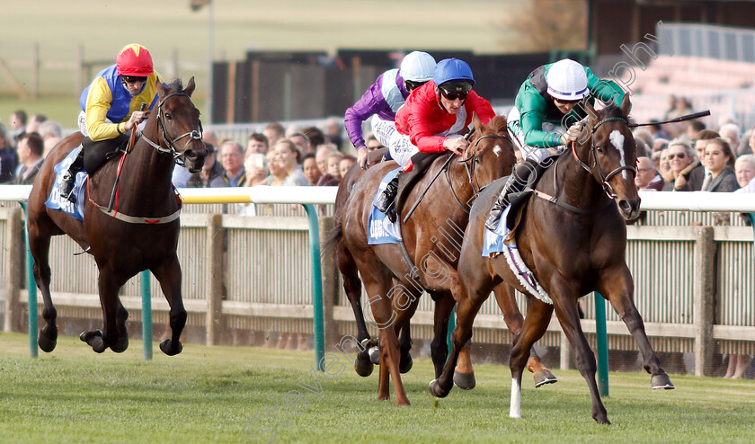 Limato-0002 
 LIMATO (Harry Bentley) wins The Godolphin Stud And Stable Staff Awards Challenge Stakes
Newmarket 12 Oct 2018 - Pic Steven Cargill / Racingfotos.com