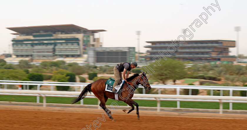 Book- Em-Danno-0001 
 BOOK 'EM DANNO training for The Saudi Derby
King Abdulaziz Racetrack, Saudi Arabia 22 Feb 2024 - Pic Steven Cargill / Racingfotos.com