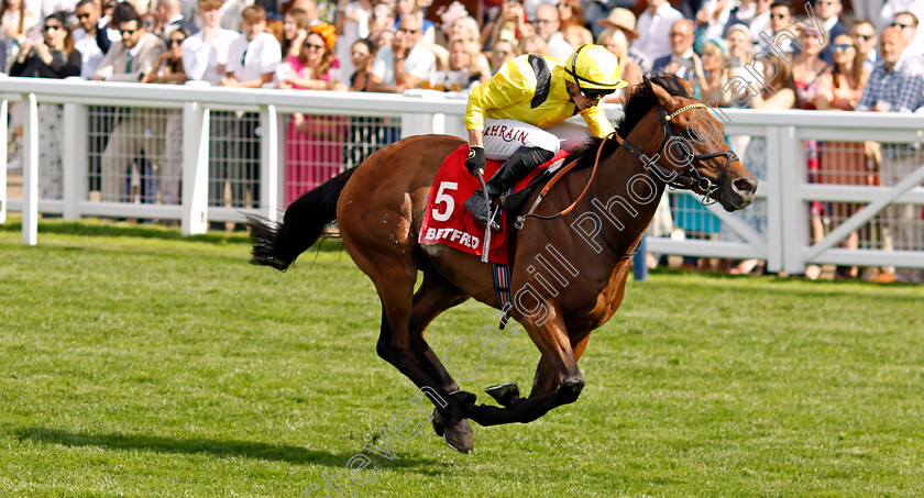 Elnajmm-0003 
 ELNAJMM (Tom Marquand) wins The Betfred Handicap
Ascot 27 Jul 2024 - Pic Steven Cargill / Racingfotos.com