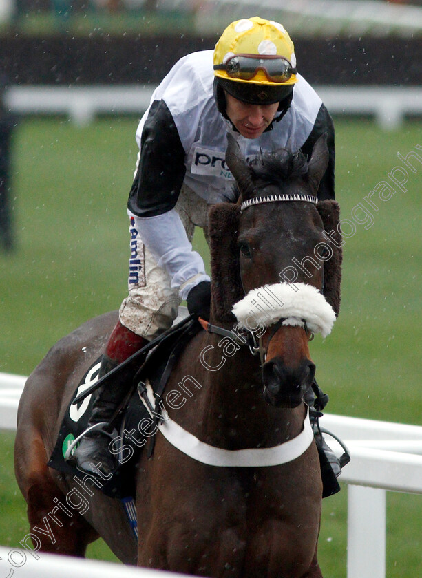 Western-Ryder-0001 
 WESTERN RYDER (Richard Johnson)
Cheltenham 15 Dec 2018 - Pic Steven Cargill / Racingfotos.com