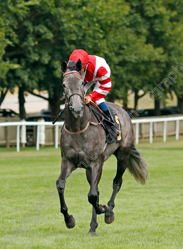 Ashky-0001 
 ASHKY (William Buick) winner of The Turners Handicap
Newmarket 30 Jul 2022 - Pic Steven Cargill / Racingfotos.com