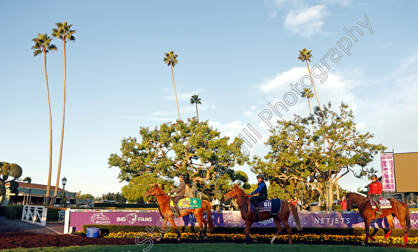 Derma-Sotogake-and-Live-In-The-Dream-0001 
 DERMA SOTOGAKE leads LIVE IN THE DREAM training for The Breeders' Cup 
Santa Anita USA, 30 Oct 2023 - Pic Steven Cargill / Racingfotos.com