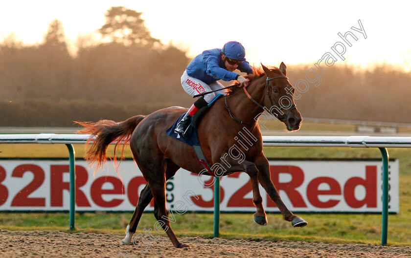 Caliandra-0004 
 CALLIANDRA (Kieran O'Neill) wins The 32Red Maiden Fillies Stakes Lingfield 10 Jan 2018 - Pic Steven Cargill / Racingfotos.com