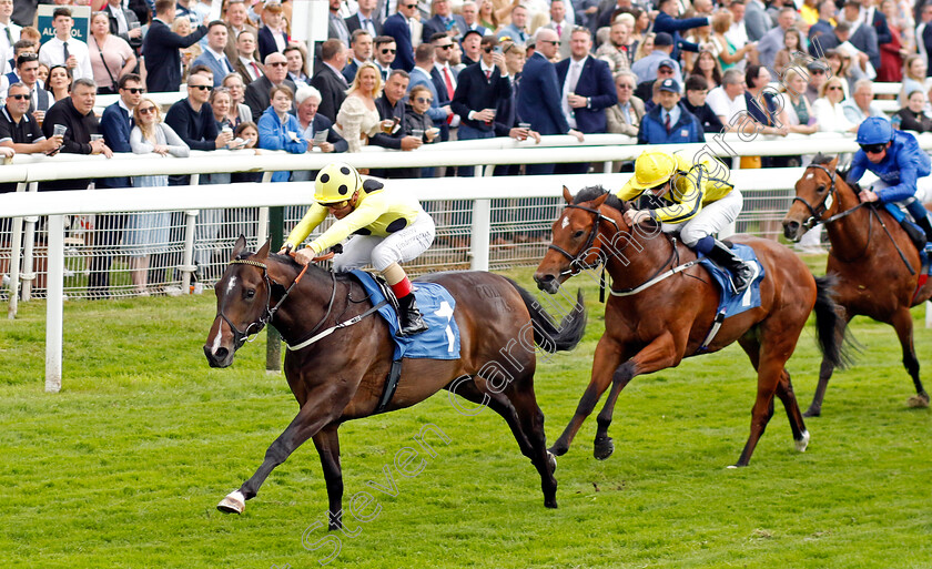 Cold-Case-0003 
 COLD CASE (Andrea Atzeni) wins The Reg Griffin Appreciation Ebfstallions.com Maiden Stakes
York 11 Jun 2022 - Pic Steven Cargill / Racingfotos.com