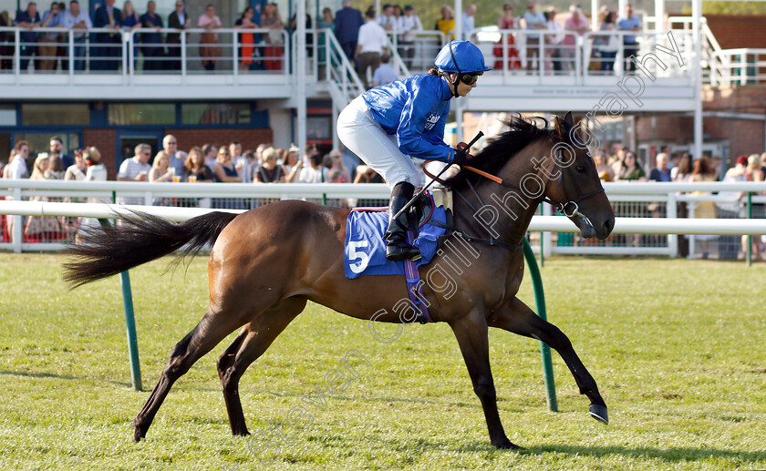 Making-History-0001 
 MAKING HISTORY (Hayley Turner)
Nottingham 20 Apr 2019 - Pic Steven Cargill / Racingfotos.com