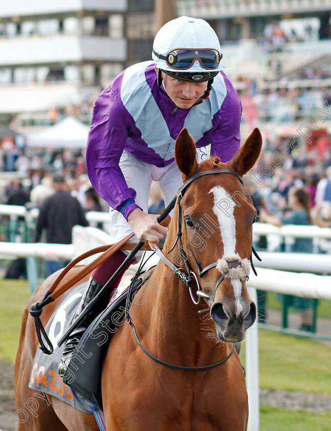 Frankness-0001 
 FRANKNESS (Rob Hornby)
Doncaster 8 Sep 2022 - Pic Steven Cargill / Racingfotos.com