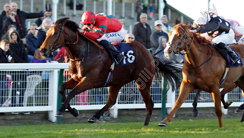 Agent-Of-Fortune-0003 
 AGENT OF FORTUNE (Joey Haynes) beats DUCHESS OF AVON (right) in The Peter Dunnett 20 Year Memorial Handicap
Yarmouth 23 Oct 2018 - Pic Steven Cargill / Racingfotos.com