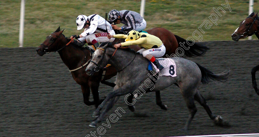 Dubrava-0002 
 DUBRAVA (nearside, Andrea Atzeni) beats INDIAN VICEROY (left) in The Matchbook 2% Net Win Handicap
Kempton 7 Aug 2019 - Pic Steven Cargill / Racingfotos.com