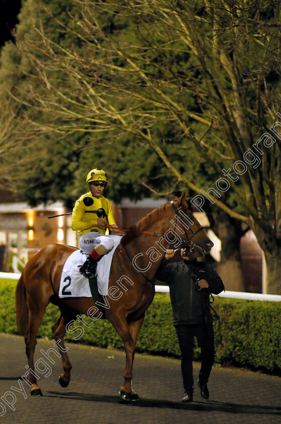 Going-Places-0002 
 GOING PLACES (Andrea Atzeni)
Kempton 17 Feb 2020 - Pic Steven Cargill / Racingfotos.com