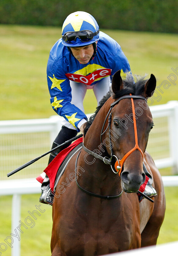 Captain-Cuddles 
 CAPTAIN CUDDLES (Pat Dobbs)
Sandown 1 Jul 2022 - Pic Steven Cargill / Racingfotos.com