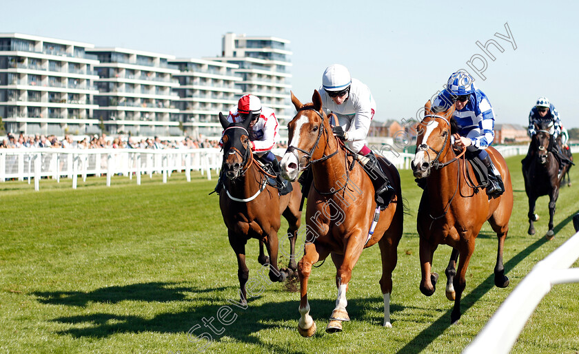 Shailene-0001 
 SHAILENE (Oisin Murphy) beats SOTO SIZZLER (right) in The Dubai Duty Free Handicap
Newbury 20 Sep 2019 - Pic Steven Cargill / Racingfotos.com