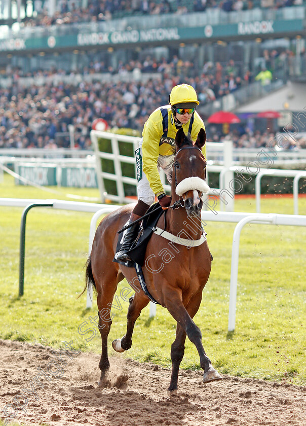 Killer-Kane 
 KILLER KANE (Brendan Powell)
Aintree 9 Apr 2022 - Pic Steven Cargill / Racingfotos.com