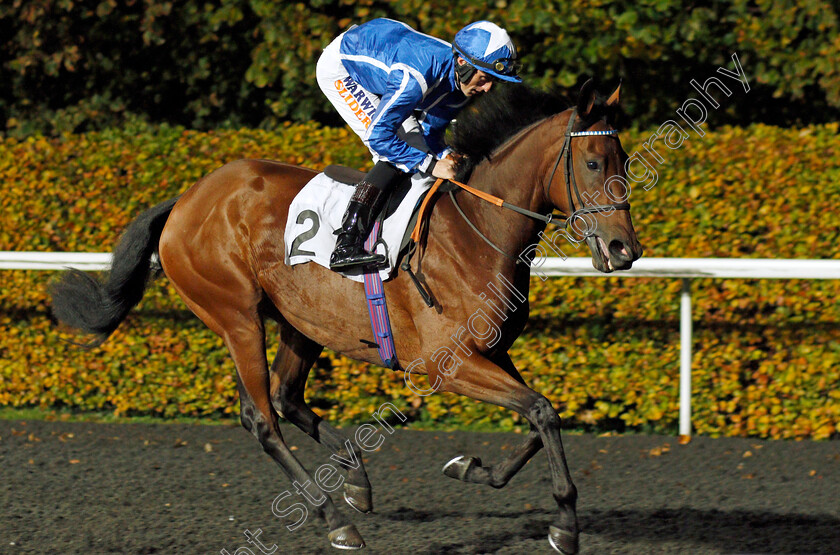 Albion-Princess-0002 
 ALBION PRINCESS (Trevor Whelan)
Kempton 10 Nov 2021 - Pic Steven Cargill / Racingfotos.com