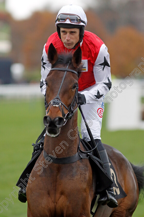 Clararose-0002 
 CLARAROSE (Harry Skelton)
Warwick 22 Nov 2023 - Pic Steven Cargill / Racingfotos.com