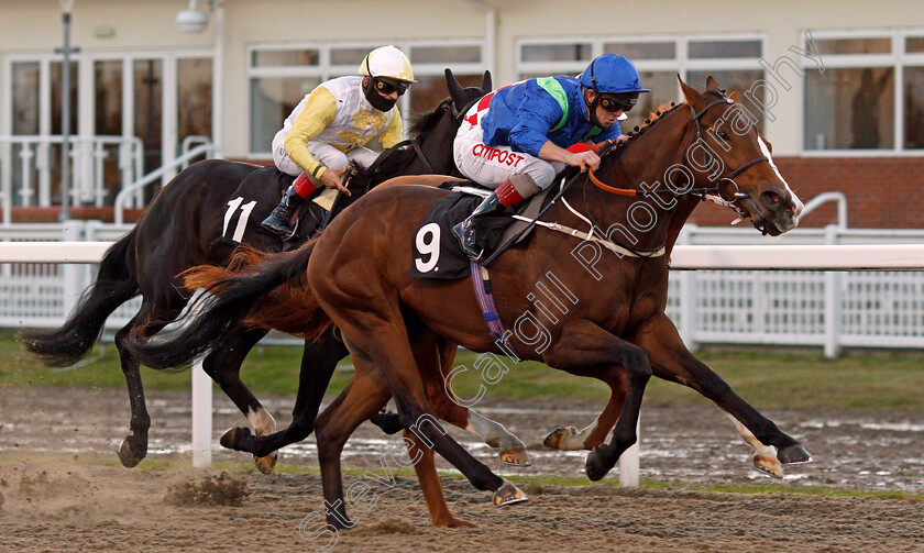 Silvestris-0005 
 SILVESTRIS (Franny Norton) wins The EBF Novice Auction Stakes
Chelmsford 22 Oct 2020 - Pic Steven Cargill / Racingfotos.com